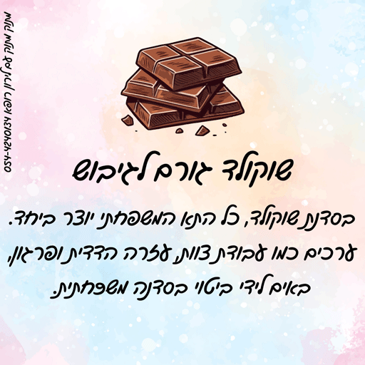 סדנת שוקולד מגבשת לירון רופא