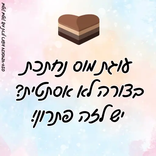 עוגת מוס שוקולד לירון רופא