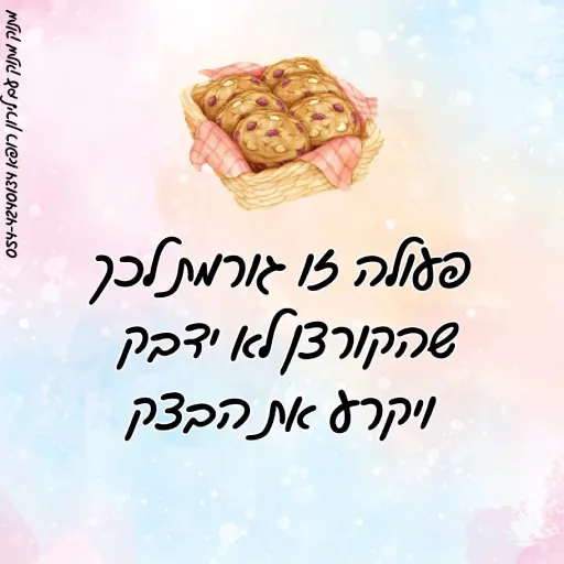 קריצת עוגיות שוקולד לירון רופא