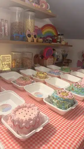 סדנת בנטו בצפון ליום הולדת לירון רופא