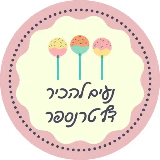 המדריך המלא לעבודה עם דף טרנספר לירון רופא