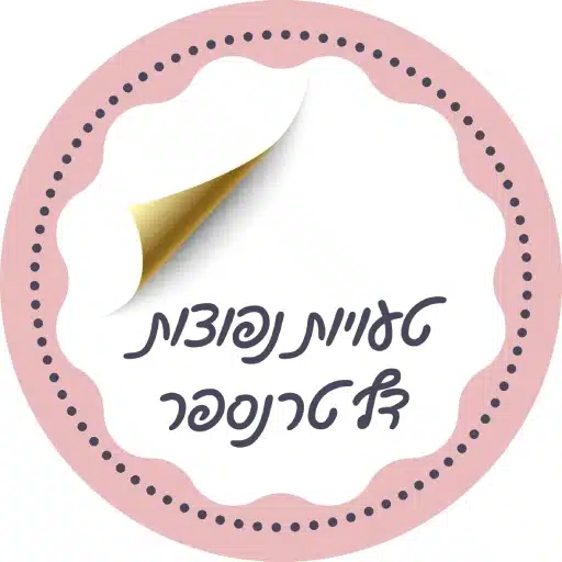 טעויות נפוצות בעבודה עם דף טרנספר לירון רופא