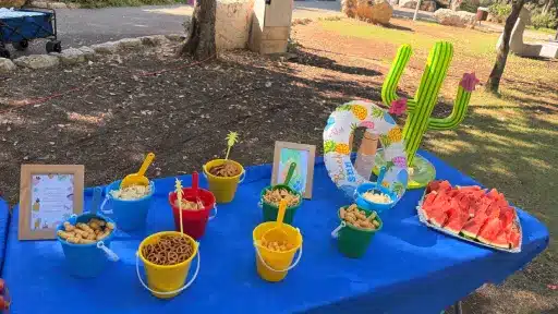 מסיבת סוף שנה בסגנון קיץ לירון רופא